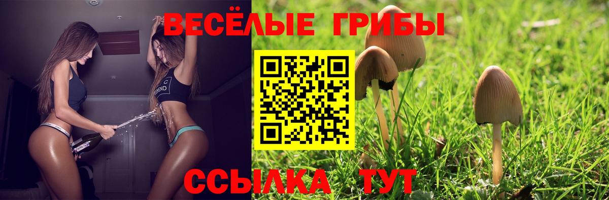 Псилоцибиновые грибы GOLDEN TEACHER Димитровград